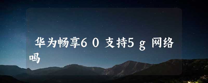 华为畅享60支持5g网络吗