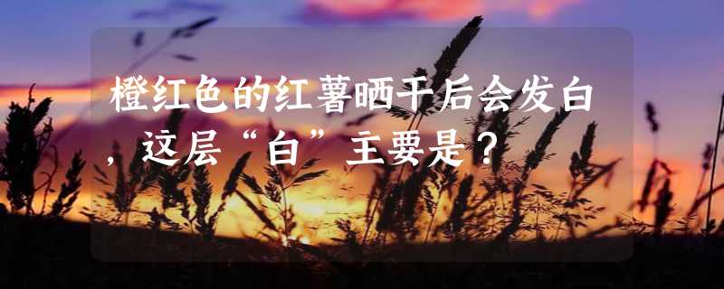 橙红色的红薯晒干后会发白，这层“白”主要是？