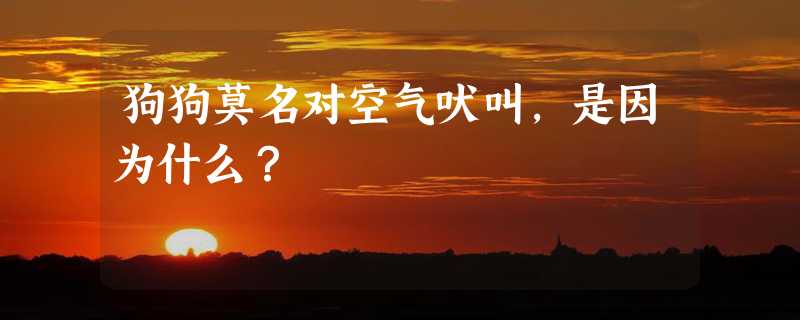 狗狗莫名对空气吠叫，是因为什么？