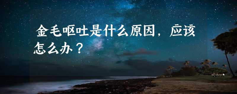 金毛呕吐是什么原因，应该怎么办？