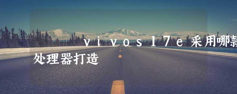 vivos17e采用哪款处理器打造