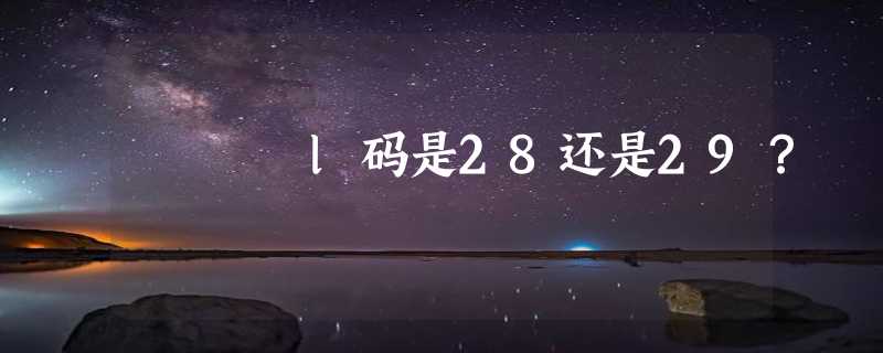 l码是28还是29？