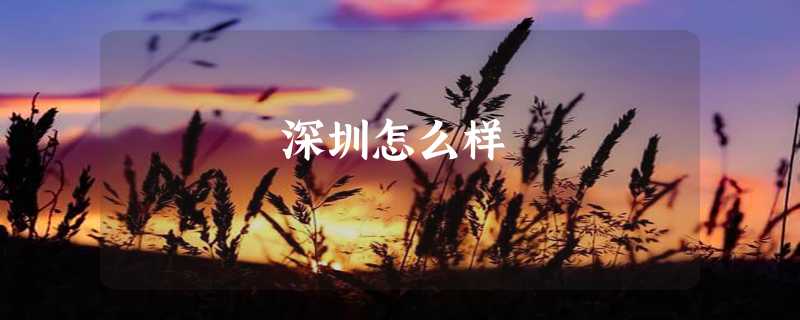 深圳怎么样