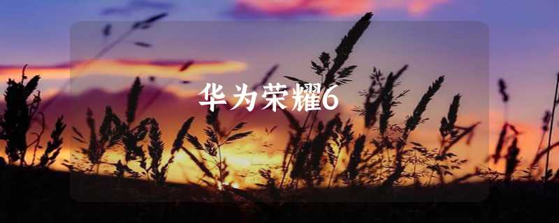 华为荣耀6