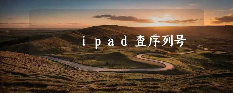 ipad查序列号