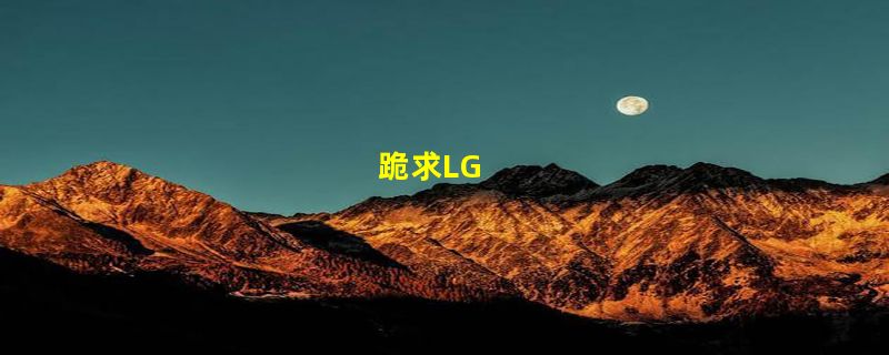 跪求LG