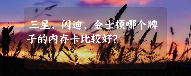 三星,闪迪,金士顿哪个牌子的内存卡比较好?