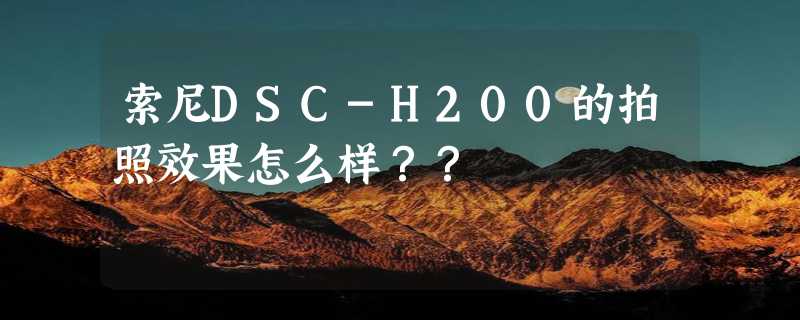 索尼DSC-H200的拍照效果怎么样？？