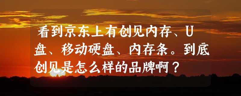 看到京东上有创见内存、U盘、移动硬盘、内存条。到底创见是怎么样的品牌啊？