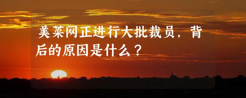 美菜网正进行大批裁员，背后的原因是什么？