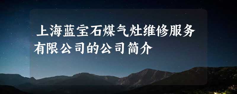 上海蓝宝石煤气灶维修服务有限公司的公司简介