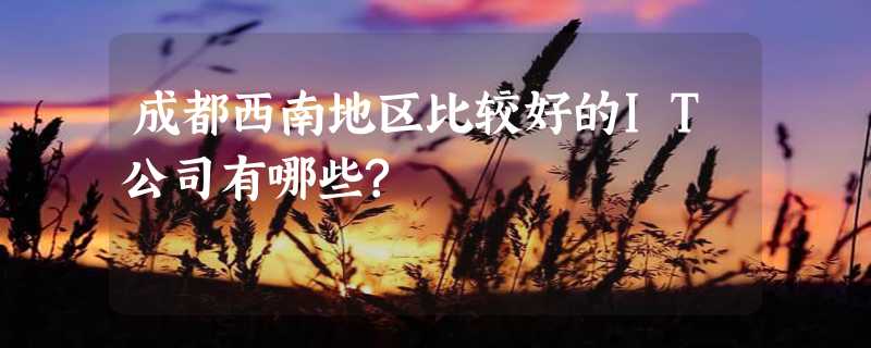 成都西南地区比较好的IT公司有哪些?