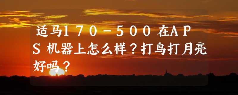 适马170-500在APS机器上怎么样？打鸟打月亮好吗？