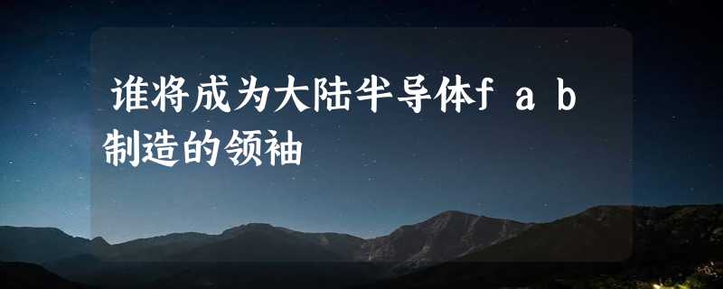 谁将成为大陆半导体fab制造的领袖