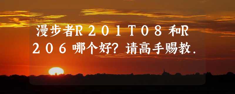 漫步者R201T08和R206哪个好?请高手赐教.