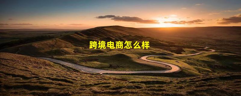 跨境电商怎么样