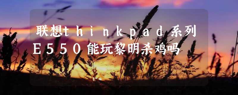 联想thinkpad系列E550能玩黎明杀鸡吗