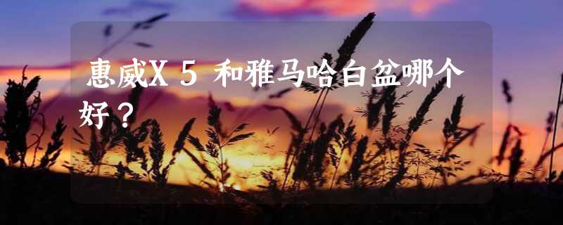 惠威X5和雅马哈白盆哪个好？