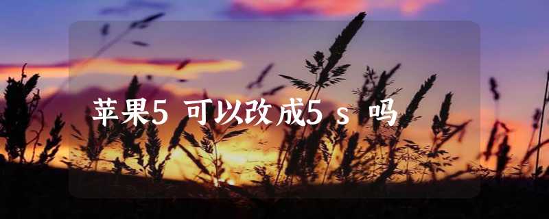 苹果5可以改成5s吗