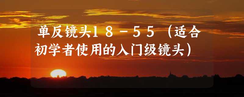 单反镜头18-55（适合初学者使用的入门级镜头）