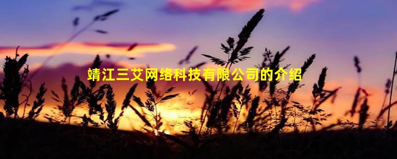 靖江三艾网络科技有限公司的介绍