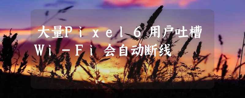 大量Pixel6用户吐槽Wi-Fi会自动断线