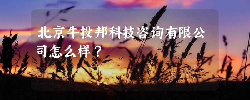 北京牛投邦科技咨询有限公司怎么样？