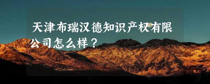 天津布瑞汉德知识产权有限公司怎么样？