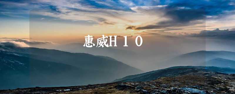 惠威H10