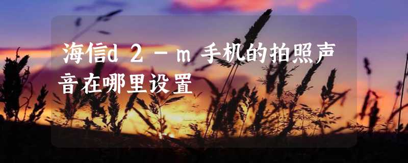 海信d2-m手机的拍照声音在哪里设置