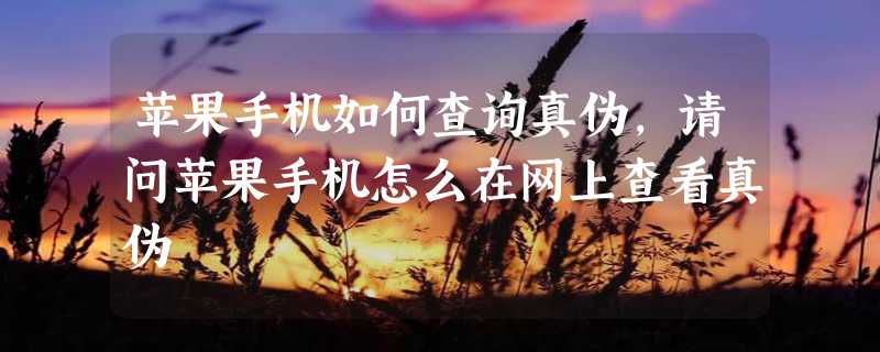 苹果手机如何查询真伪，请问苹果手机怎么在网上查看真伪