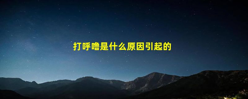 打呼噜是什么原因引起的