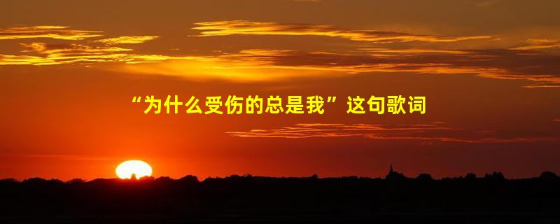 “为什么受伤的总是我”这句歌词是哪首歌里面的？？