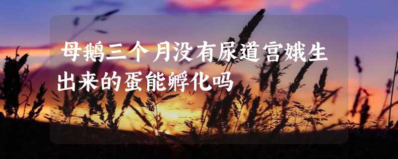 母鹅三个月没有尿道宫娥生出来的蛋能孵化吗