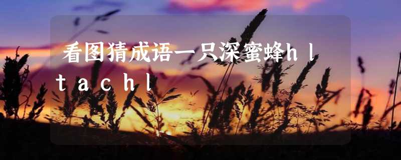 看图猜成语一只深蜜蜂hltachl