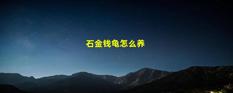 石金钱龟怎么养