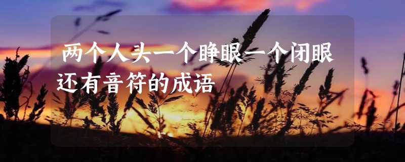 两个人头一个睁眼一个闭眼还有音符的成语