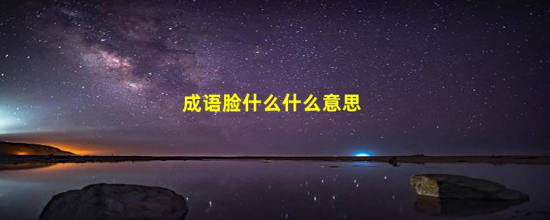 成语脸什么什么意思