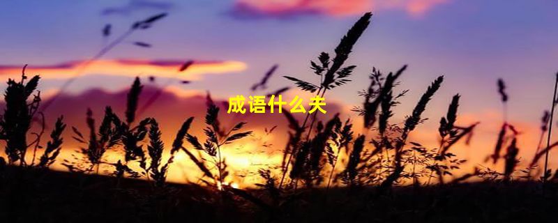 成语什么夫