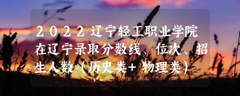 2022辽宁轻工职业学院在辽宁录取分数线、位次、招生人数（历史类+物理类）