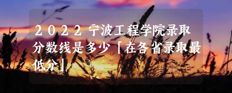 2022宁波工程学院录取分数线是多少「在各省录取最低分」