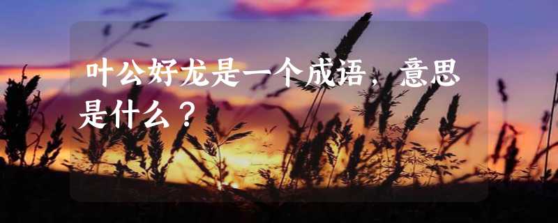 叶公好龙是一个成语，意思是什么？