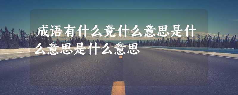 成语有什么竟什么意思是什么意思是什么意思