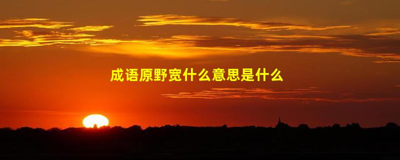 成语原野宽什么意思是什么