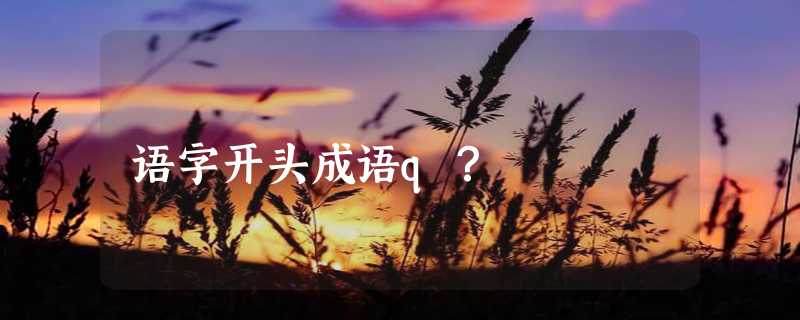 语字开头成语q？