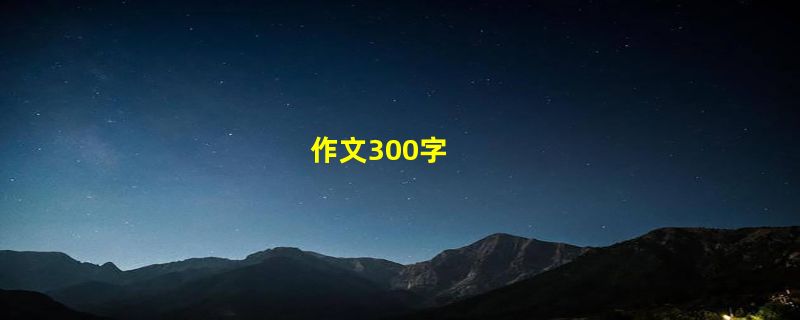 作文300字