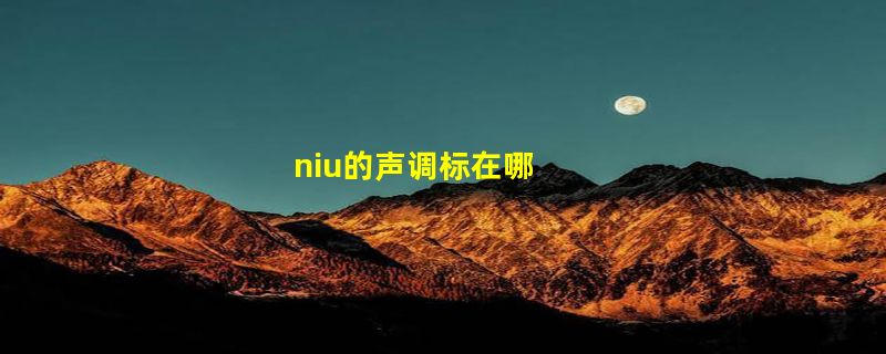 niu的声调标在哪