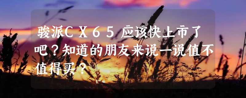 骏派CX65应该快上市了吧？知道的朋友来说一说值不值得买？