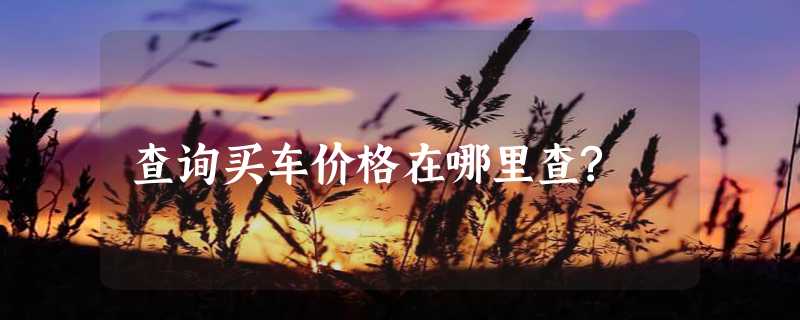 查询买车价格在哪里查?