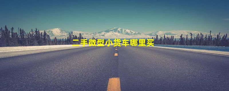 二手微型小货车哪里买